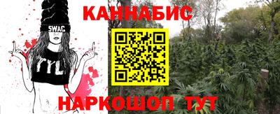 мдпв Обь