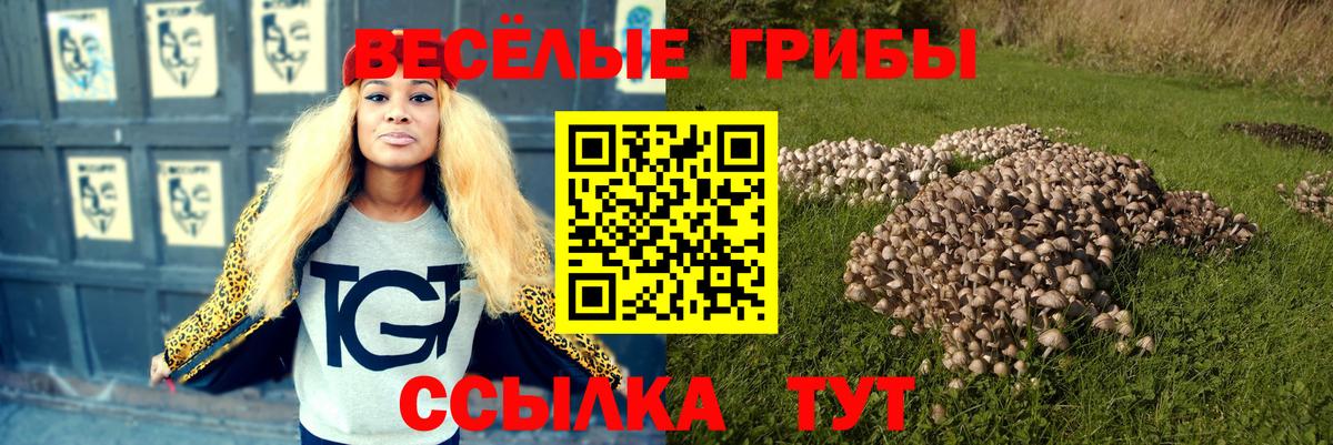 Галлюциногенные грибы Magic Shrooms Осинники