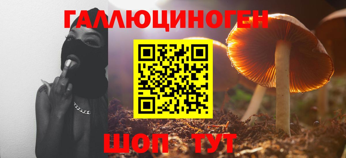Псилоцибиновые грибы ЛСД  где купить наркоту  Осинники  Вход с VPN 